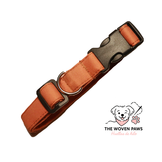 Pumpkin Spice Collar