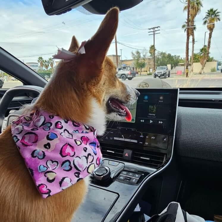 Watercolor Love Bandana